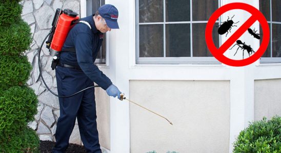 Eskipazar Dezenfeksiyon böcek ilaçlama ve haşere kontrolü — ilaclama-tr.com